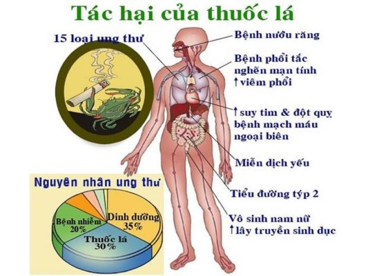 Máy ozone khử mùi khói thuốc